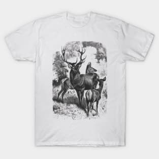 Deer Family Wildlife Illustration T-Shirt